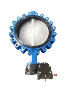 Big Size Lug Type Butterfly Valve