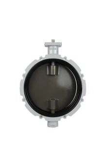 Valvola a farfalla per polvere